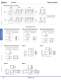 Complete Relay & Socket Catalog - IDEC