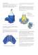 Focus - fuel oil cleaning unit - Alfa Laval