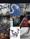 Locline Product Catalogue - LOCKWOOD