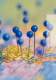 Imagebrochure Technology for Environmental Protection - AFRISO-EURO-INDEX