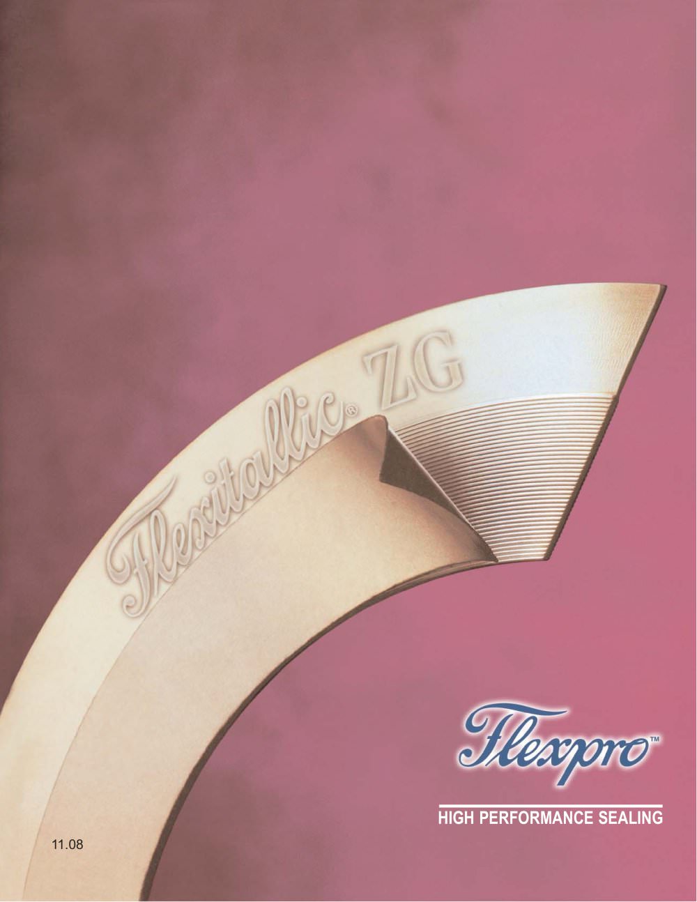 Flexpro Gasket (kammprofile) - Flexitallic