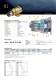 Magnetic drive gear pumps MDG series - IWAKI Europe