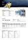 Magnetic drive gear pumps MDG series - IWAKI Europe