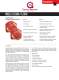 FL3100H UV/IR and FL3101H UV Flame Detectors - General Monitors