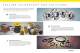 Corporate brochure - A.W. Chesterton Company