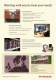 Hydraulic and Pneumatic Seals, SpeedSeal program - A.W. Chesterton Company