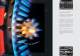 IMAGE Brochure - Palfinger