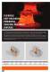 KUKA Robots for the foundry and forging industry - KUKA Roboter