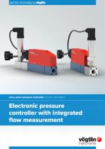 Electronic pressure controller for gases with integrated flow measurement