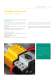 Pre-wired control unites for PV installations - Cabur