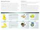 3M Hearing Products