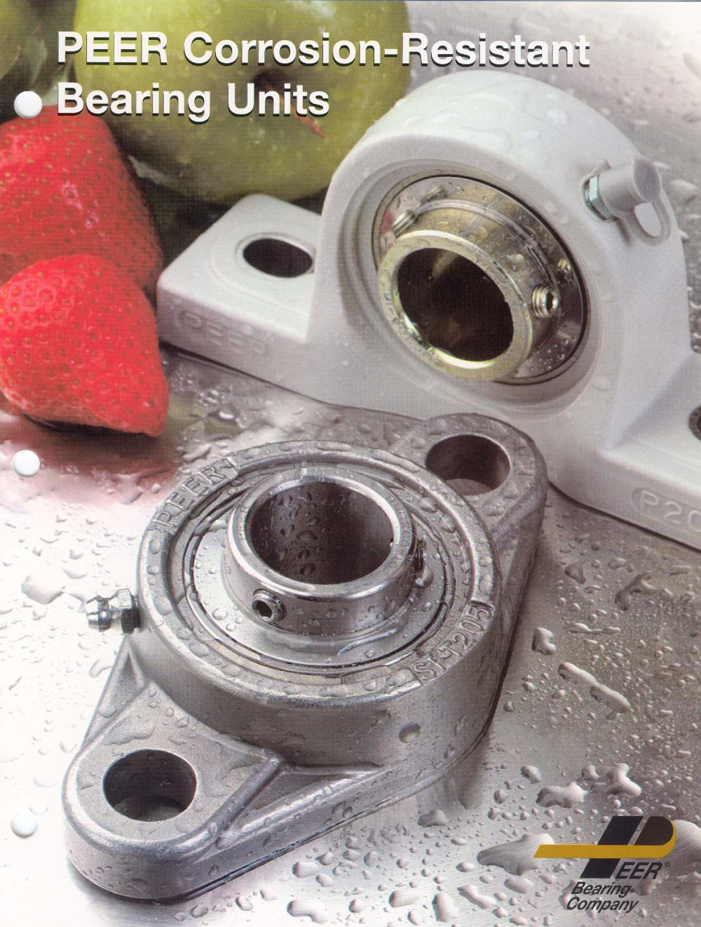 Wash Down Brochure - PEER Bearing