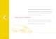 Teijin Aramid Corporate Brochure - TEIJIN ARAMID