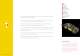 Teijin Aramid Corporate Brochure - TEIJIN ARAMID
