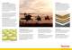Teijin Aramid hard ballistics leaflet - TEIJIN ARAMID