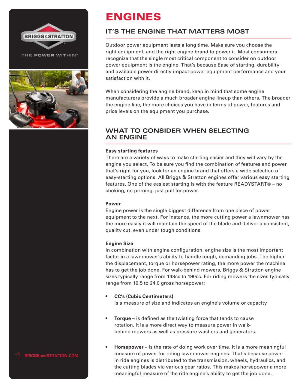 ENGINES - BRIGGS and STRATTON