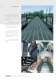 Profile Planking & Stairtreads - Meiser