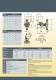 D Exacta Series