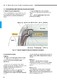 Oil Seals & O-Rings - KOYO