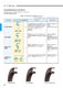 Oil Seals & O-Rings - KOYO
