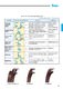 Oil Seals & O-Rings - KOYO