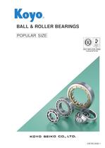 Ball & Roller Bearings