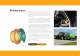 FASTRAC BROCHURE