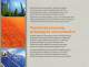 Solar Brochure - Despatch Industries