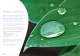Corporate Brochure - Perkins Engines Inc