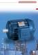 AD-ATEX series flameproof 3 phase induction motors - ISGEV