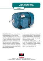 Electric motors for inverter duty