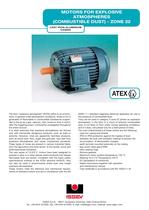 Motors for explosive atmospheres