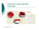LK10 Handle - KATKO