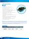 DC/DC Converter Catalogue 2009 - Delta Electronics, Inc.