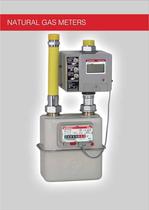 Natural gas meters