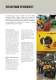 Compact wheel loaders - Volvo Construction Equipment