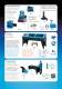 Product Overview - UNIFLEX