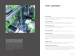 ENGEL e-victory injection moulding machine - ENGEL