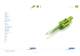 speed injection moulding machine - ENGEL