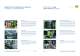 speed injection moulding machine - ENGEL