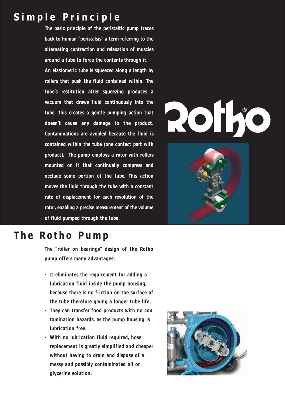 CATALOGO ROTHO INGL - RAGAZZINI