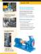 Goulds 3185 Heavy-duty Process Pumps - Goulds Pumps