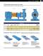 Goulds 3198 i-FRAME - Goulds Pumps