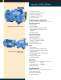 Goulds 3296 EZMAG Chemical Process Pump - Goulds Pumps