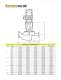 Goulds Model 3900 - Goulds Pumps