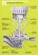 Goulds Model 3900 - Goulds Pumps