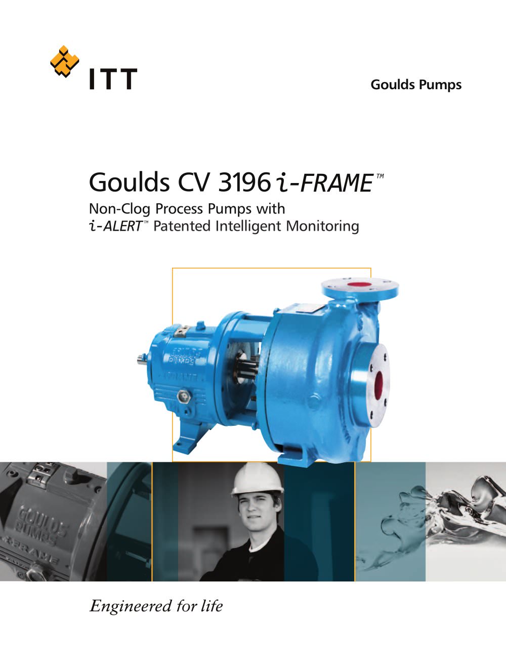 CV 3196 i-FRAME - Goulds Pumps