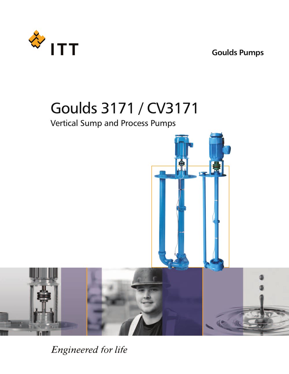 Goulds 3171 / CV3171 Vertical Sump and Process Pumps - Goulds Pumps