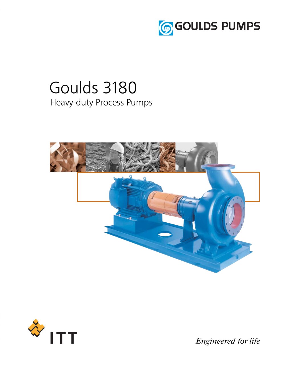 Goulds 3180 Heavy-duty Process Pumps - Goulds Pumps