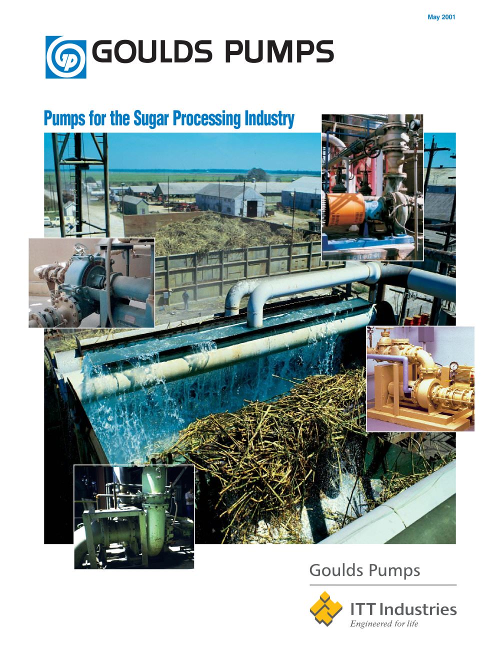Pumps for the Sugar Processing Industry - Goulds Pumps